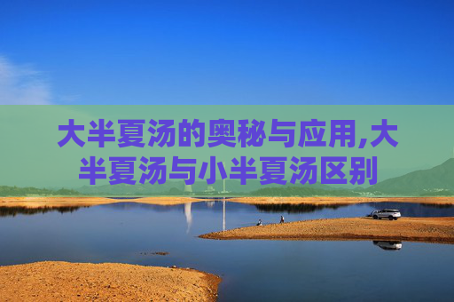 大半夏汤的奥秘与应用,大半夏汤与小半夏汤区别