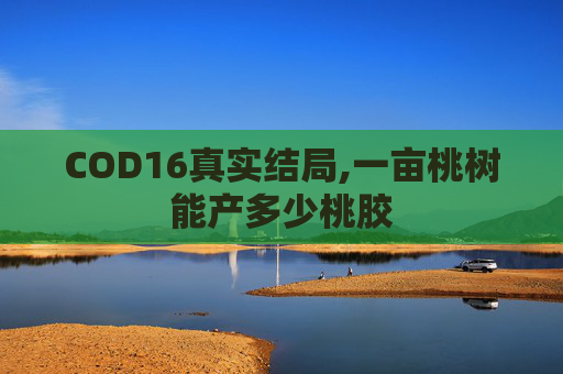 COD16真实结局,一亩桃树能产多少桃胶