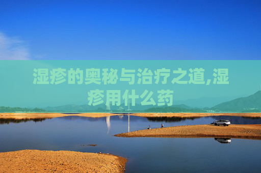 湿疹的奥秘与治疗之道,湿疹用什么药