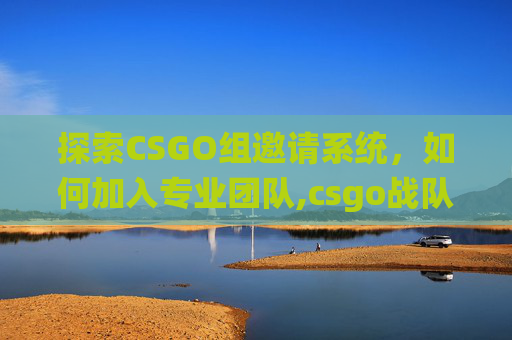 探索CSGO组邀请系统，如何加入专业团队,csgo战队怎么邀请人
