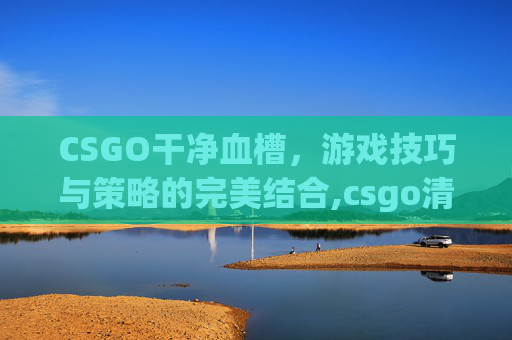 CSGO干净血槽，游戏技巧与策略的完美结合,csgo清楚血