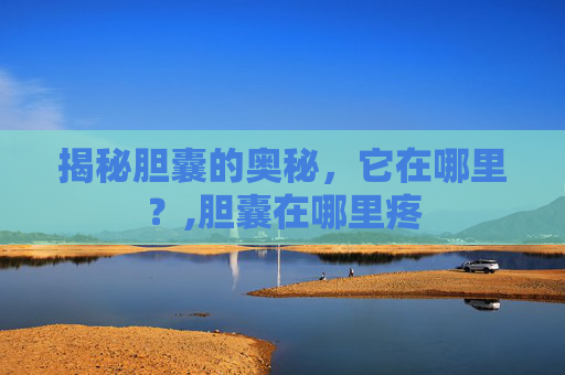 揭秘胆囊的奥秘，它在哪里？,胆囊在哪里疼