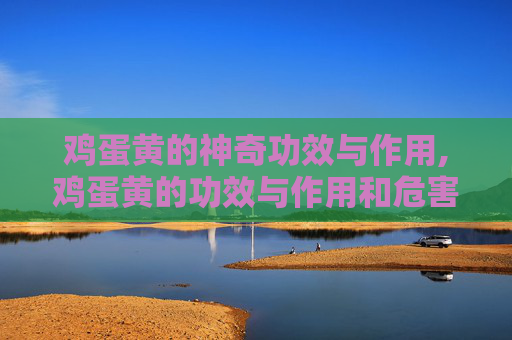鸡蛋黄的神奇功效与作用,鸡蛋黄的功效与作用和危害