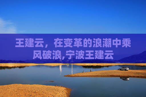 王建云，在变革的浪潮中乘风破浪,宁波王建云