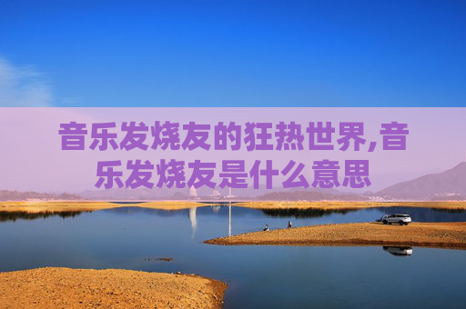 音乐发烧友的狂热世界,音乐发烧友是什么意思