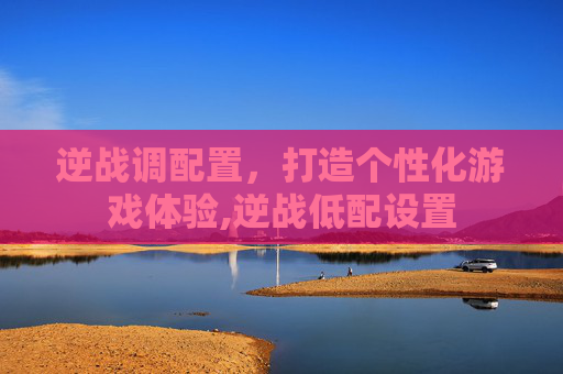 逆战调配置，打造个性化游戏体验,逆战低配设置