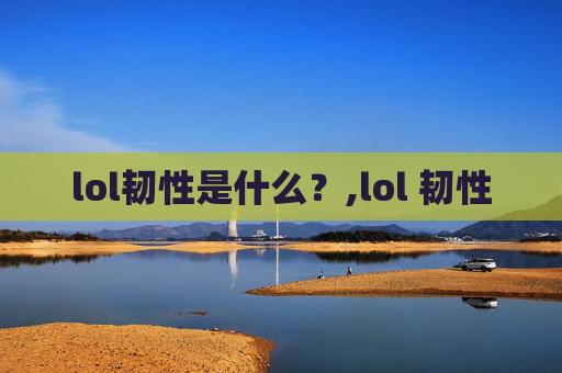 lol韧性是什么？,lol 韧性