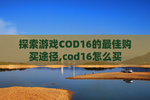 探索游戏COD16的最佳购买途径,cod16怎么买