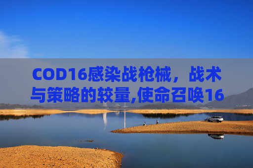 COD16感染战枪械，战术与策略的较量,使命召唤16感染战