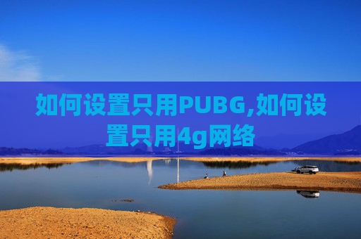 如何设置只用PUBG,如何设置只用4g网络