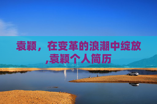 袁颖，在变革的浪潮中绽放,袁颖个人简历