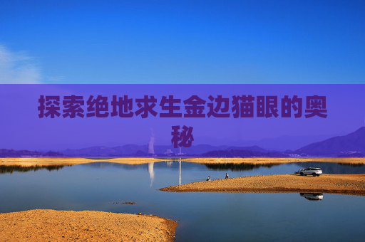 探索绝地求生金边猫眼的奥秘