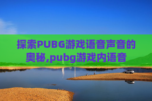 探索PUBG游戏语音声音的奥秘,pubg游戏内语音