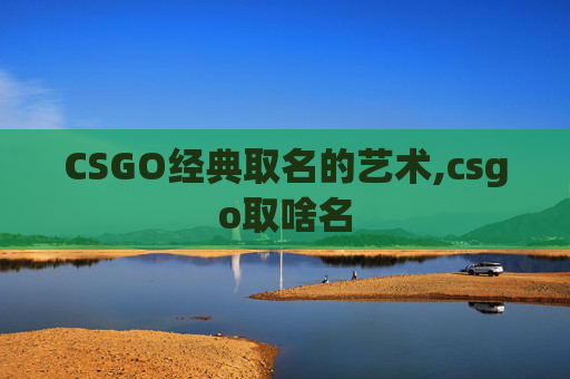 CSGO经典取名的艺术,csgo取啥名