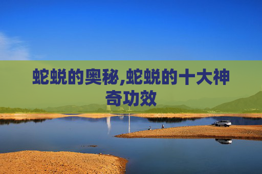 蛇蜕的奥秘,蛇蜕的十大神奇功效