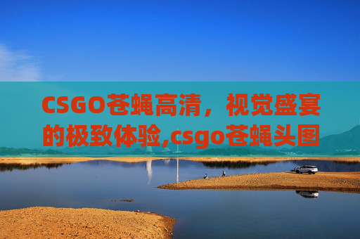 CSGO苍蝇高清，视觉盛宴的极致体验,csgo苍蝇头图片