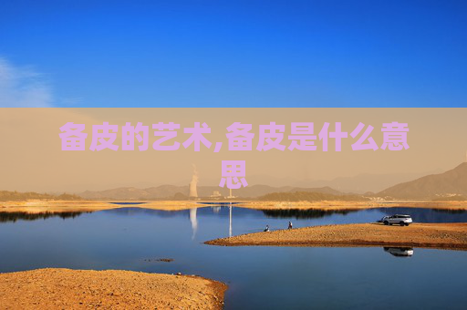 备皮的艺术,备皮是什么意思