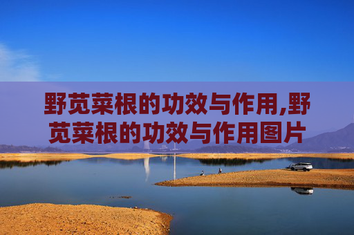 野苋菜根的功效与作用,野苋菜根的功效与作用图片