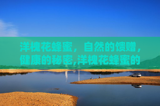 洋槐花蜂蜜，自然的馈赠，健康的秘密,洋槐花蜂蜜的功效