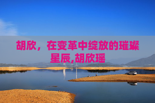 胡欣，在变革中绽放的璀璨星辰,胡欣瑶