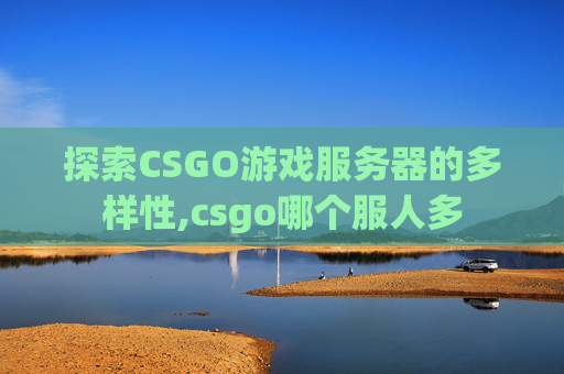 探索CSGO游戏服务器的多样性,csgo哪个服人多