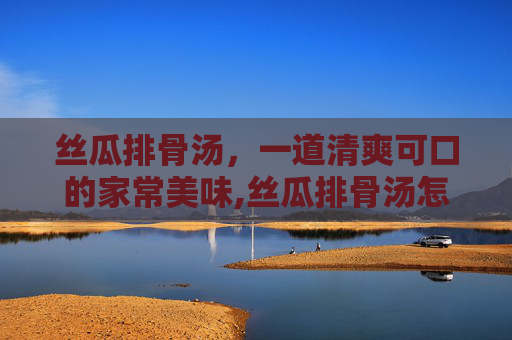 丝瓜排骨汤，一道清爽可口的家常美味,丝瓜排骨汤怎么炖最好喝