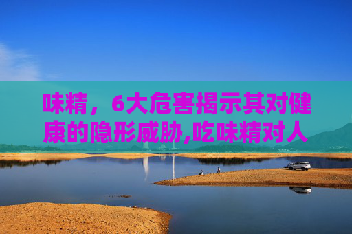 味精，6大危害揭示其对健康的隐形威胁,吃味精对人的6大危害是什么