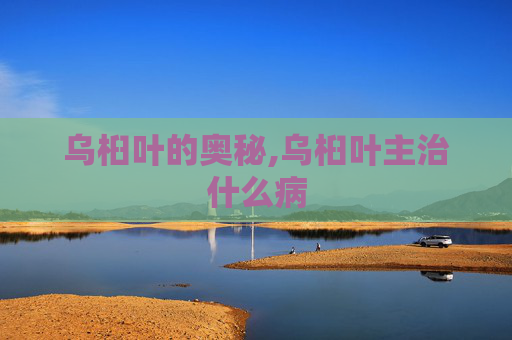 乌桕叶的奥秘,乌桕叶主治什么病