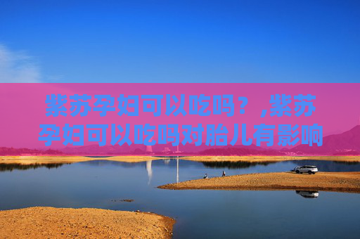 紫苏孕妇可以吃吗？,紫苏孕妇可以吃吗对胎儿有影响吗
