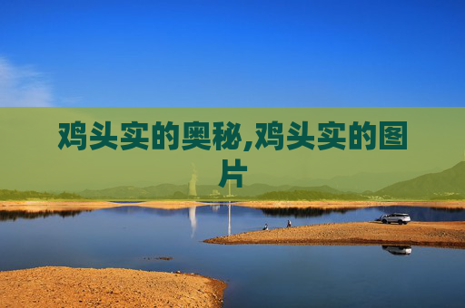 鸡头实的奥秘,鸡头实的图片