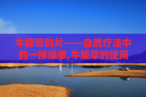 牛膝草的片——自然疗法中的一抹绿意,牛膝草的使用方法
