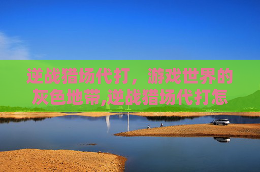 逆战猎场代打，游戏世界的灰色地带,逆战猎场代打怎么样