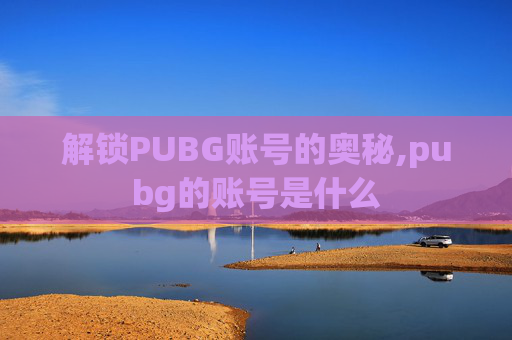 解锁PUBG账号的奥秘,pubg的账号是什么