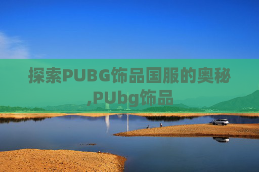 探索PUBG饰品国服的奥秘,PUbg饰品