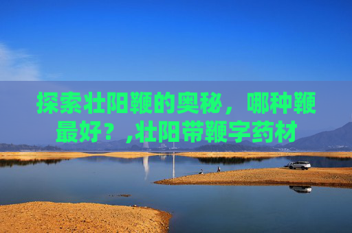 探索壮阳鞭的奥秘，哪种鞭最好？,壮阳带鞭字药材
