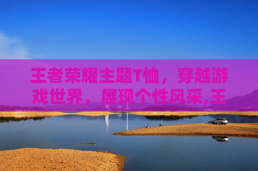 王者荣耀主题T恤，穿越游戏世界，展现个性风采,王者荣耀 主题