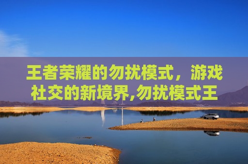 王者荣耀的勿扰模式，游戏社交的新境界,勿扰模式王者荣耀怎么关闭