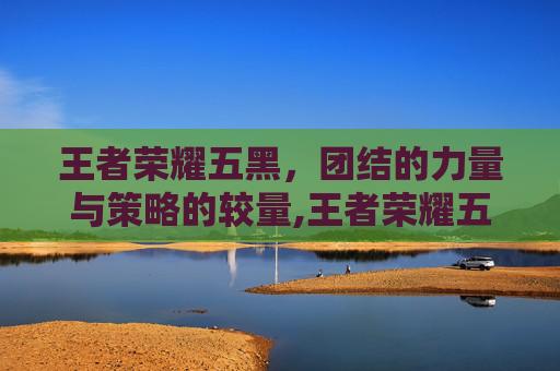 王者荣耀五黑，团结的力量与策略的较量,王者荣耀五黑头像