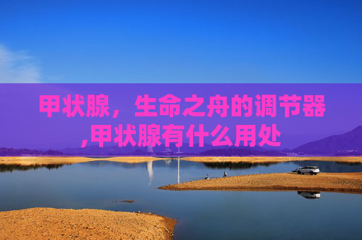 甲状腺，生命之舟的调节器,甲状腺有什么用处