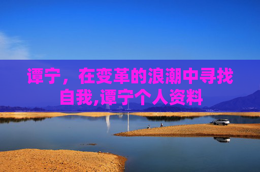 谭宁，在变革的浪潮中寻找自我,谭宁个人资料