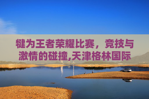 犍为王者荣耀比赛，竞技与激情的碰撞,天津格林国际幼儿园学费