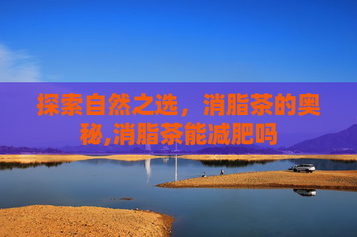 探索自然之选，消脂茶的奥秘,消脂茶能减肥吗