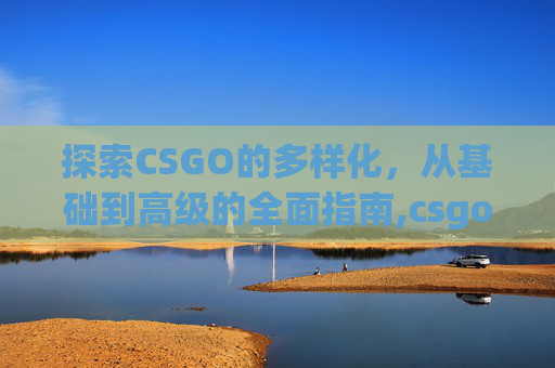 探索CSGO的多样化，从基础到高级的全面指南,csgo有几种颜色