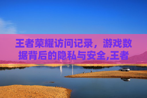 王者荣耀访问记录，游戏数据背后的隐私与安全,王者荣耀访问记录可以删除吗