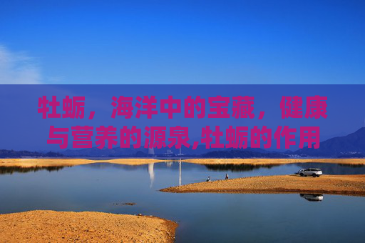 牡蛎，海洋中的宝藏，健康与营养的源泉,牡蛎的作用与功效与作用