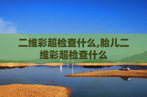 二维彩超检查什么,胎儿二维彩超检查什么