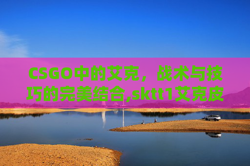 CSGO中的艾克，战术与技巧的完美结合,sktt1艾克皮肤怎么样