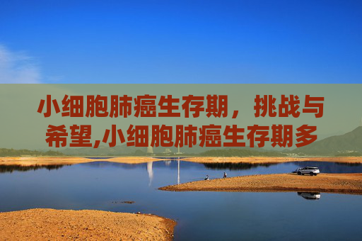 小细胞肺癌生存期，挑战与希望,小细胞肺癌生存期多久