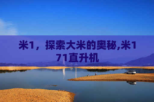 米1，探索大米的奥秘,米171直升机