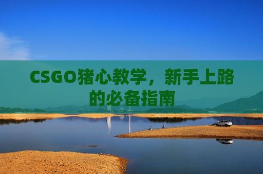 CSGO猪心教学，新手上路的必备指南